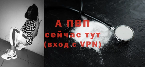 прущие грибы Кинешма