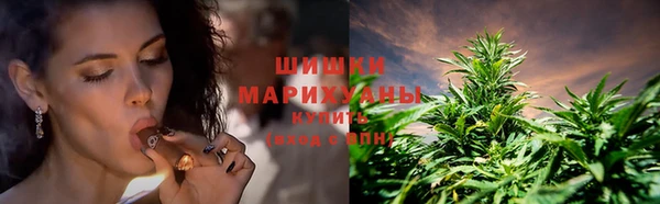 прущие грибы Кинешма
