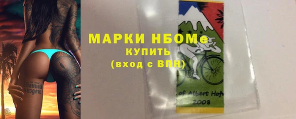 прущие грибы Кинешма