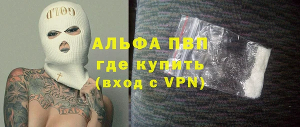 прущие грибы Кинешма