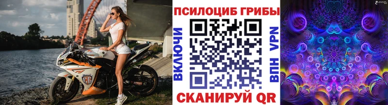 Галлюциногенные грибы мицелий  Купить где  Нижняя Тура 